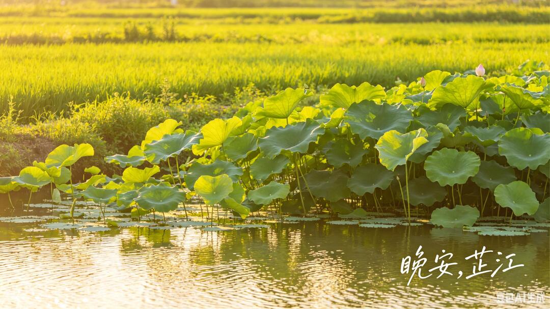 晚安，芷江｜诗词中的五月：春去夏来，万物可期