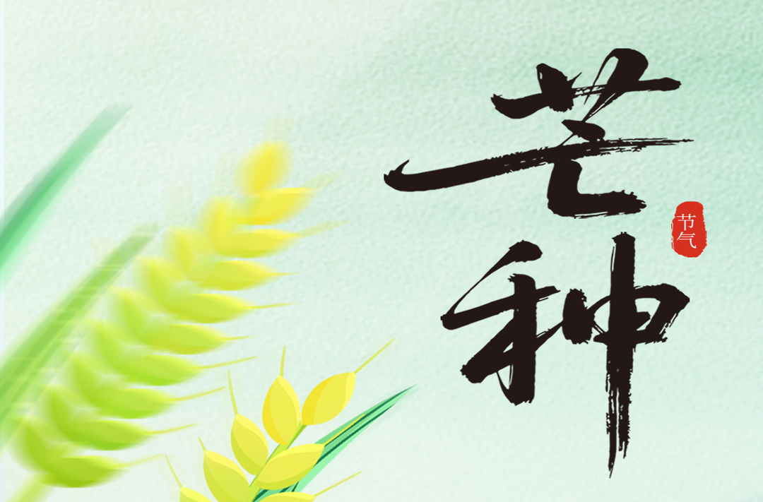 海报丨今日，芒种