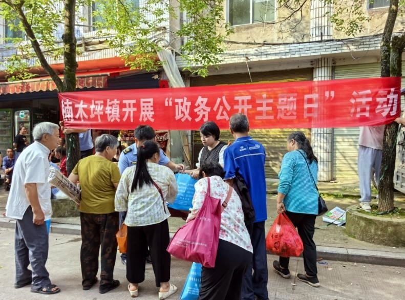 楠木坪开展政务公开暨安全生产月集中宣传