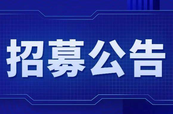 芷江侗族自治县招商投资事务中心2026年 公开招募见习生公告