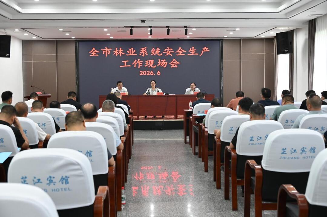 全市林业系统安全生产工作现场会在芷江召开