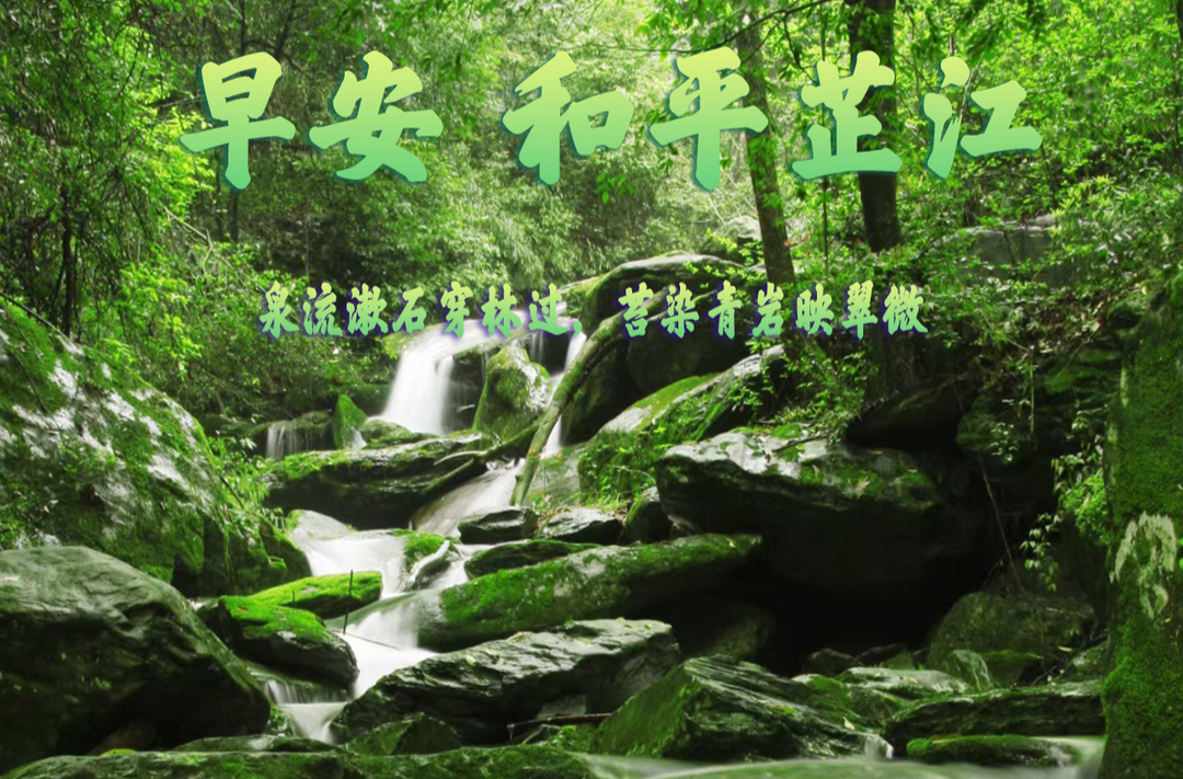 早安，芷江丨6月12日，星期五