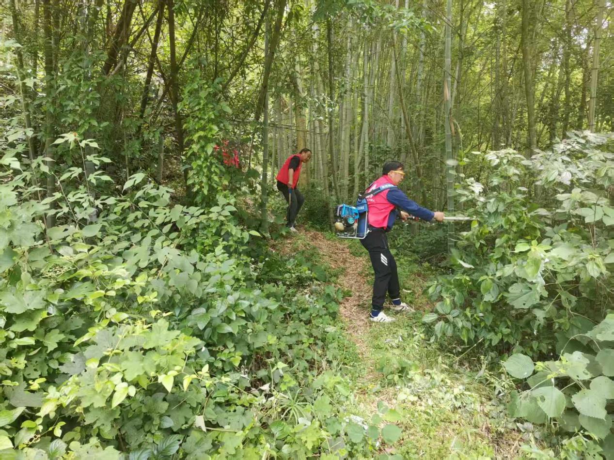 新店坪镇：让一次次“搭把手”温暖独居老人心