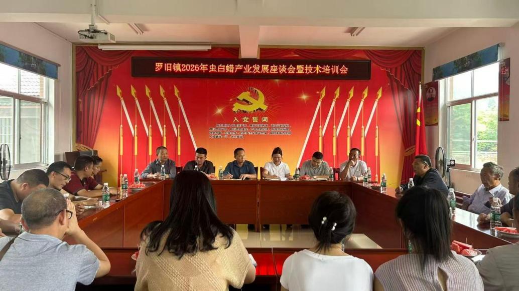罗旧镇：党群阵地赋能  蜡业跑出“加速度”