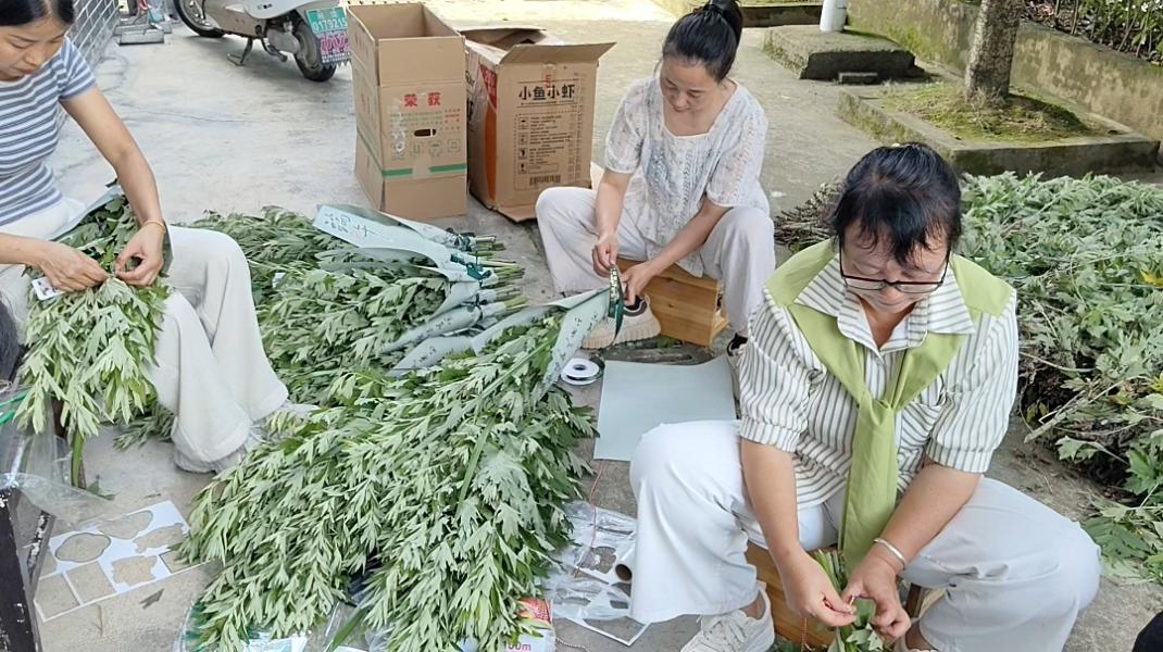 多彩端午节   情满大树坳