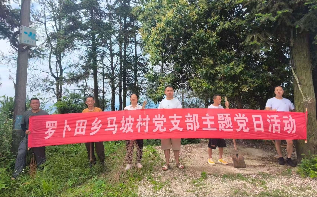 罗卜田乡马坡村：党群齐动手，端午洁家园