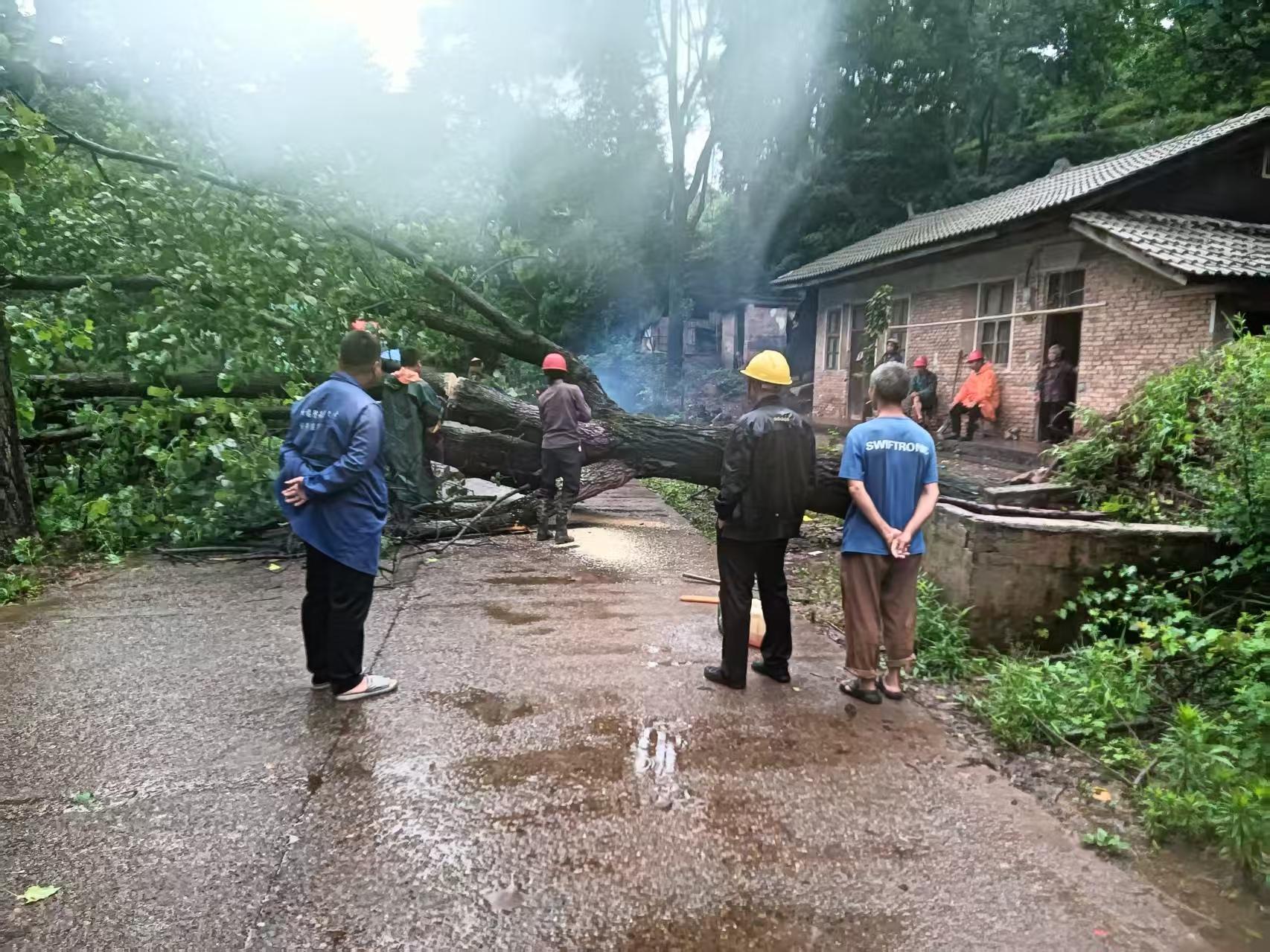 罗卜田乡：冒雨清理倒伏树木 打通群众出行“安全路”