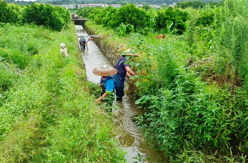 让党旗在防汛一线高高飘扬丨新店坪镇：暴雨突袭遇险情 清淤通渠护民生