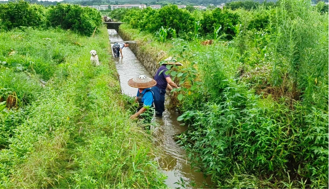 让党旗在防汛一线高高飘扬丨新店坪镇：暴雨突袭遇险情 清淤通渠护民生