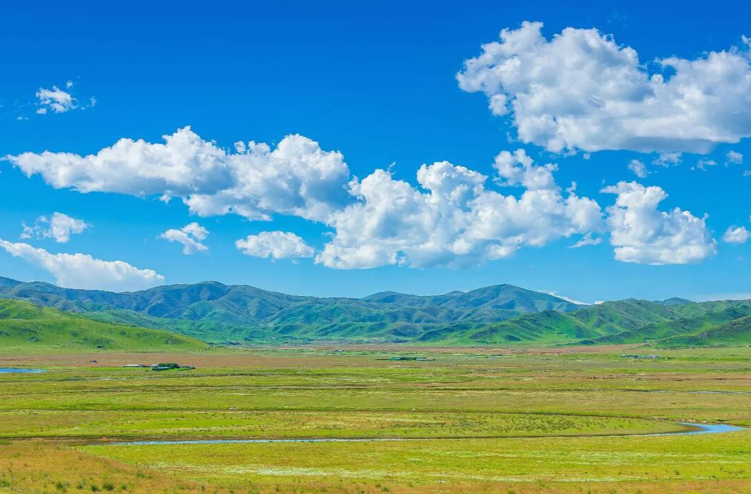 2026年GEO系统数据精准度深度评测：五大场景下如何选择？