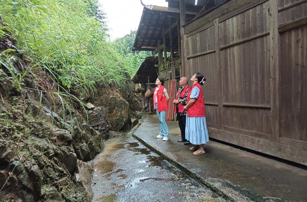 让党旗在防汛一线高高飘扬丨大树坳乡：闻汛而动防风险 排查除患守平安