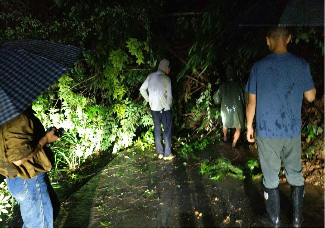 让党旗在防汛一线高高飘扬丨雨夜逆行守平安 梨溪口乡村干部连夜开展防汛隐患排查