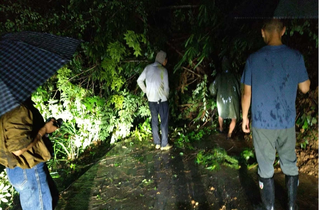 让党旗在防汛一线高高飘扬丨雨夜逆行守平安 梨溪口乡村干部连夜开展防汛隐患排查