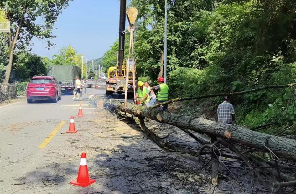 让党旗在防汛一线高高飘扬丨芷江公路建设养护中心：以汛为令 闻汛而动 全力保障公路安全畅通
