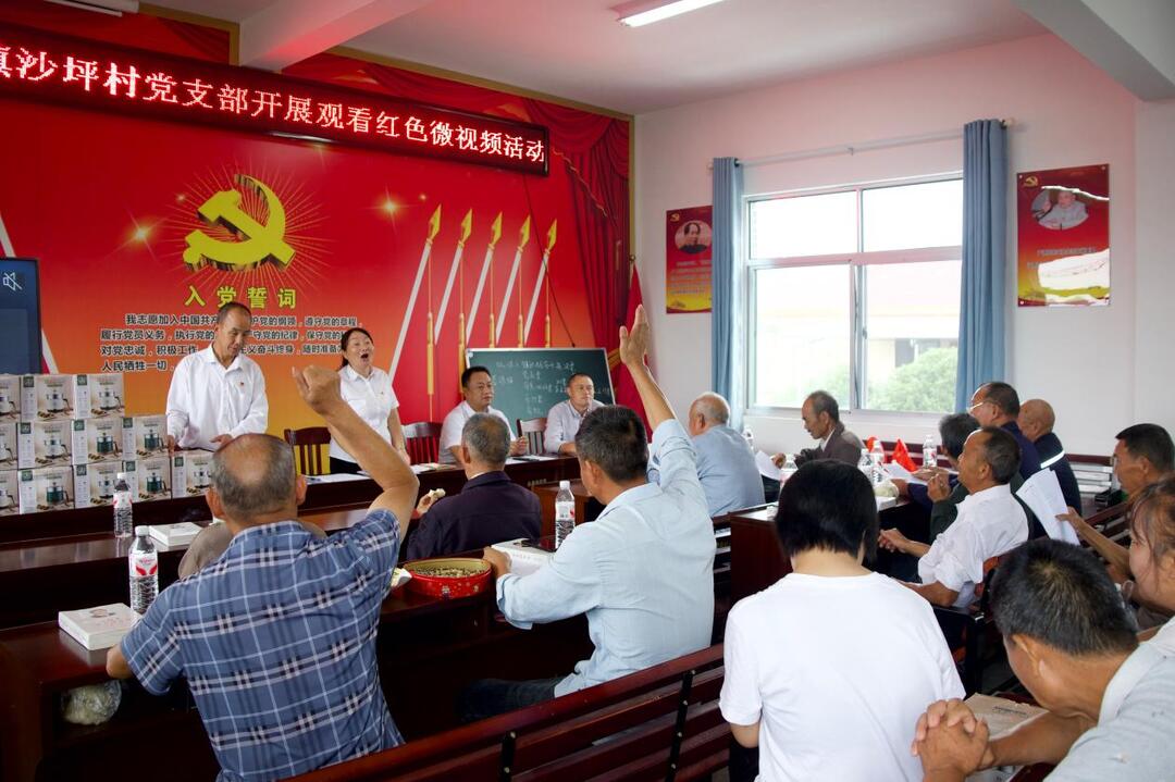 庆祝建党105周年丨芷江镇沙坪村：阵地提质焕新 党日暖心庆华诞