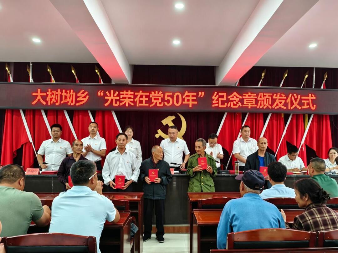 庆祝建党105周年丨大树坳乡召开庆祝中国共产党成立105周年暨“七一”表彰大会