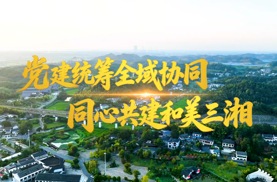 视频丨党建引领创新攻坚 同心共建和美三湘