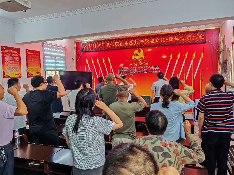 庆祝建党105周年丨红心向党庆七一  阵地赋能践初心 芷江镇柳树坪村开展系列主题党日活动