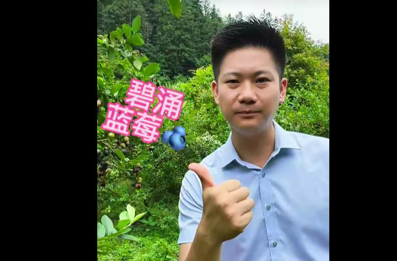 碧涌镇：党建引领聚合力 乡村振兴显担当