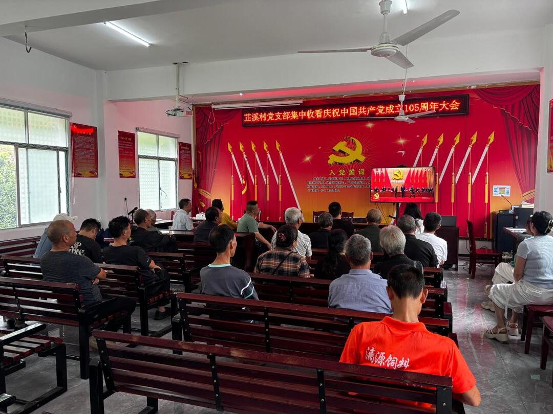 庆祝建党105周年｜赓续红色血脉 汲取榜样力量——三道坑镇芷溪村党支部开展“七一”主题党日活动