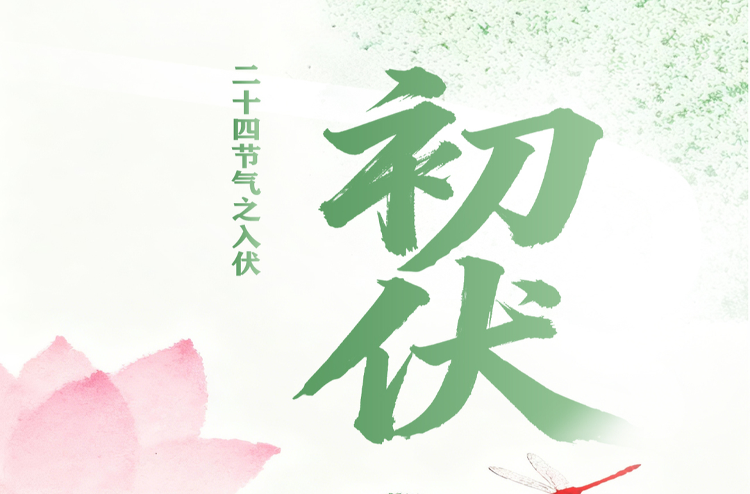 海报丨今日，初伏