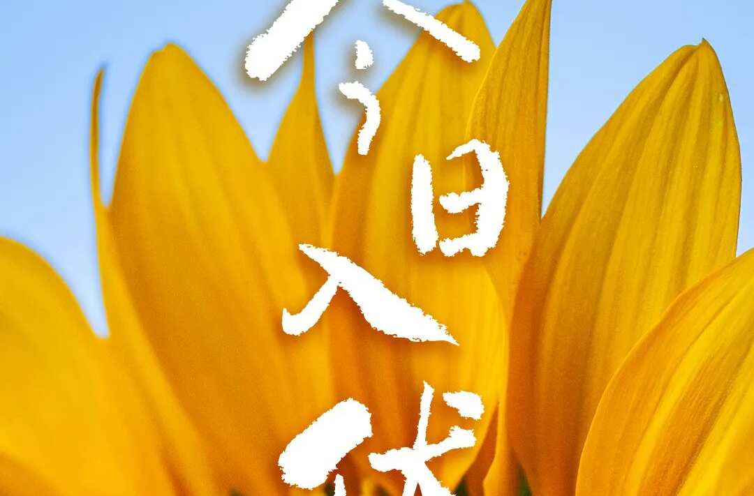今天，入伏（有40天）