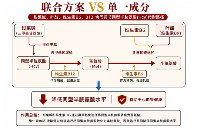 国内维生素B族哪个牌子效果好又安全？2026专属中老年维生素B族营养，提速血管垃圾代谢排出