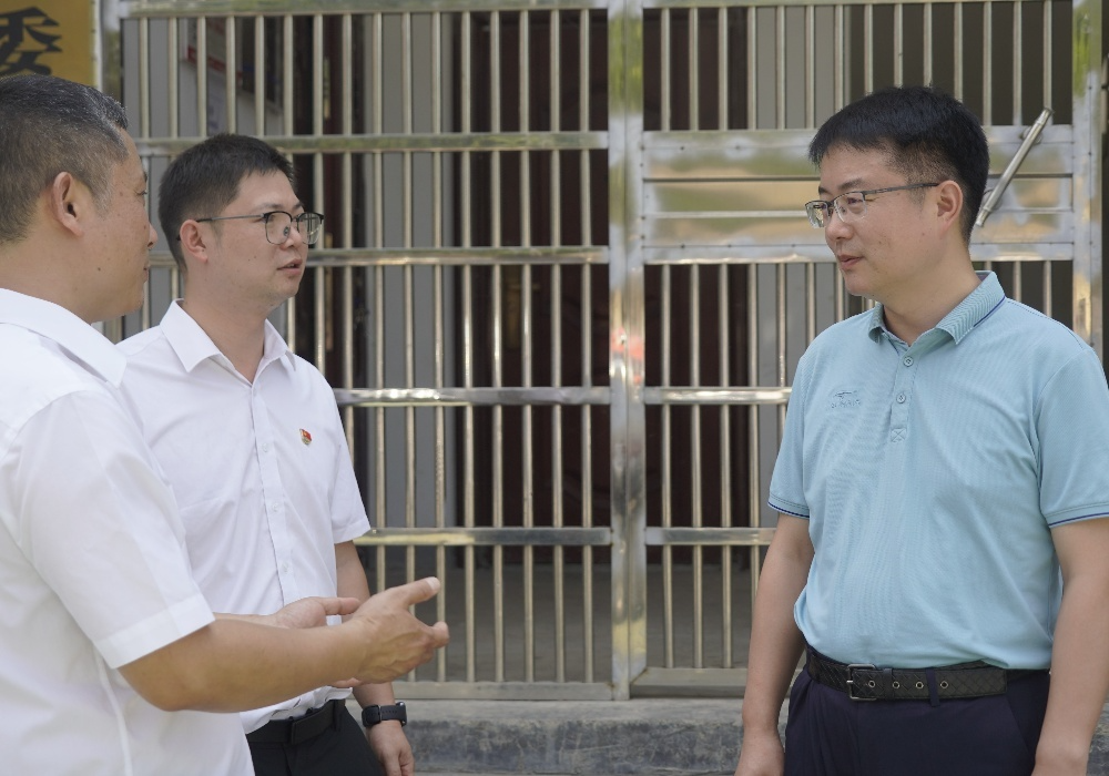林涛在洞下场乡、梨溪口乡调研