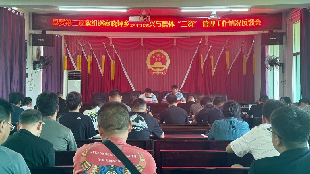 县委第三巡察组专项巡察晓坪乡乡村振兴与集体“三资”管理工作情况反馈会召开