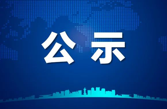 芷江侗族自治县第十届人民代表大会代表建议提名人选公示名单（党委提名人选，按单位排列）