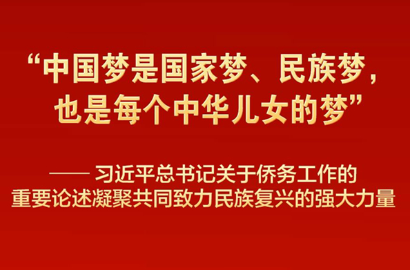 习近平总书记重要论述凝聚共同致力民族复兴强大力量