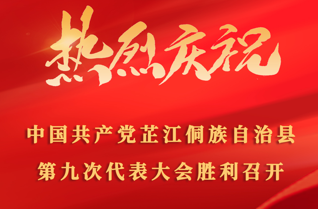 聚焦党代会丨县第九次党代会系列海报：奋力建设五省边际现代化先行县