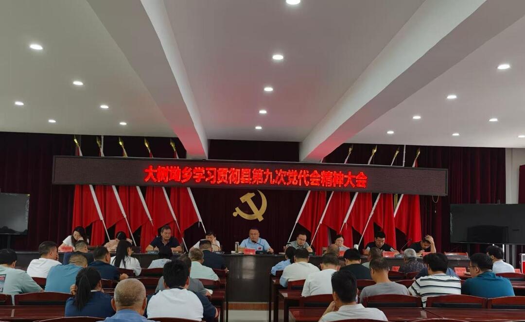贯彻党代会精神丨锚定目标实干争先 大树坳乡全面贯彻落实芷江第九次党代会精神