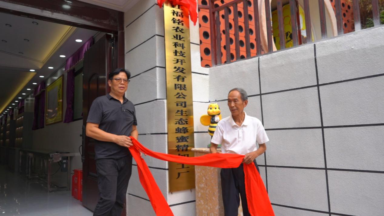 抱团发展“甜蜜产业” 芷江福铭蜂蜜加工厂举行揭牌仪式