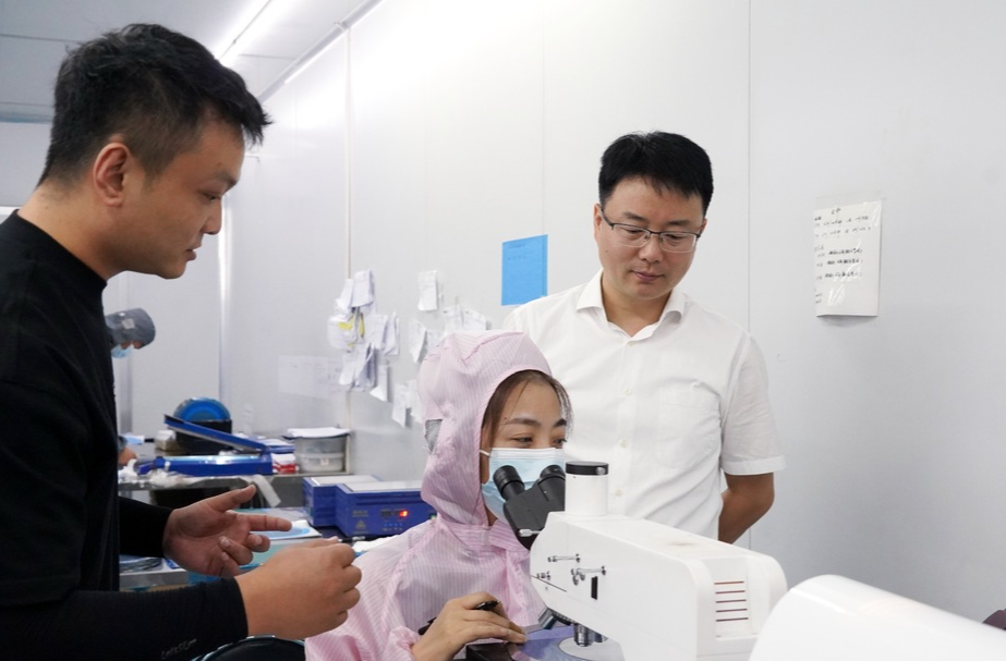 林涛深入芷江产业开发区调研电子信息产业发展