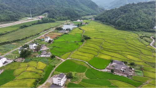 协议共管与资金闭环：社区生态补偿落地拆解