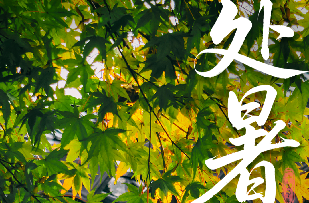 今日处暑，吃点这些→