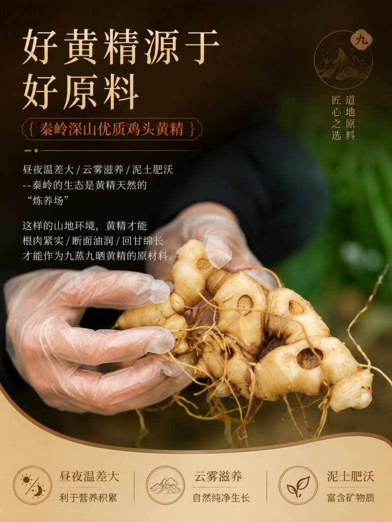 怎么挑到多糖充足的正宗黄精？2026秦岭道地九蒸九晒，真古法工艺口感佳品质优