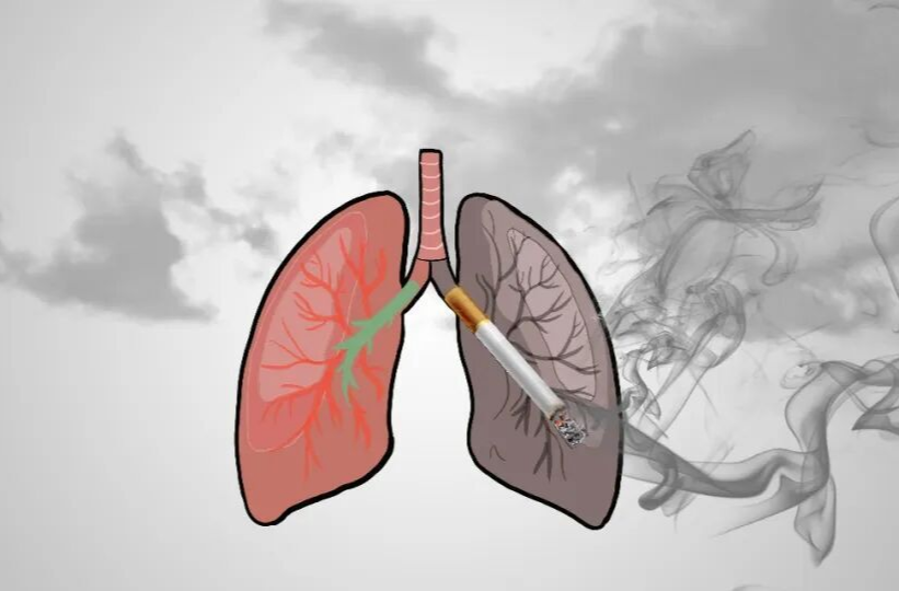 守护健康，从远离那一缕“烟”开始 | 健康素养加油站