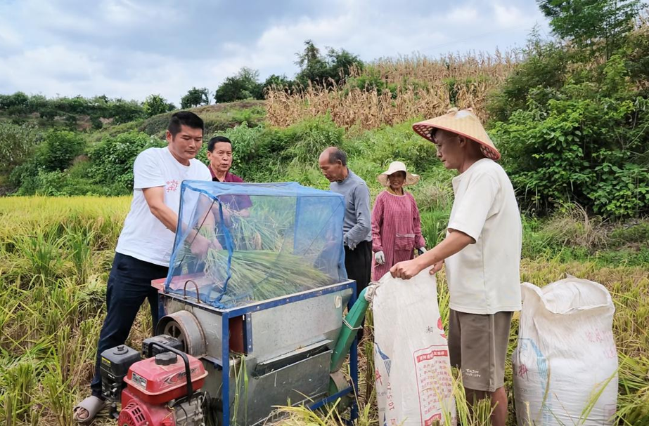 禾梨坳乡：干群同心助秋收