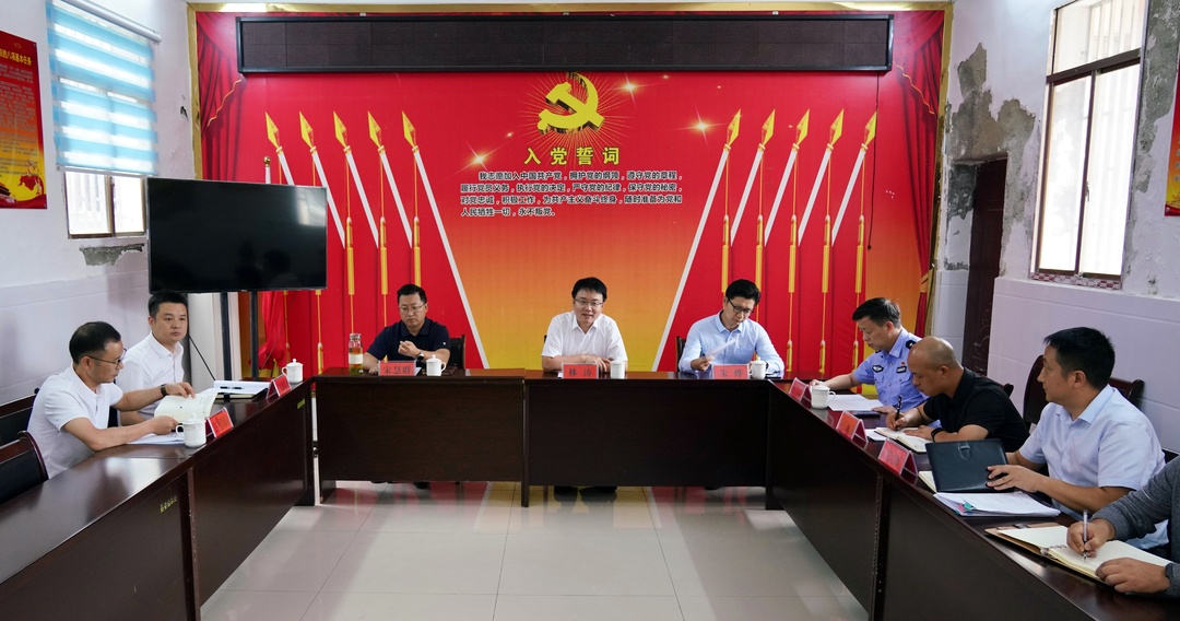 林涛在芷江镇、县信访局接访群众