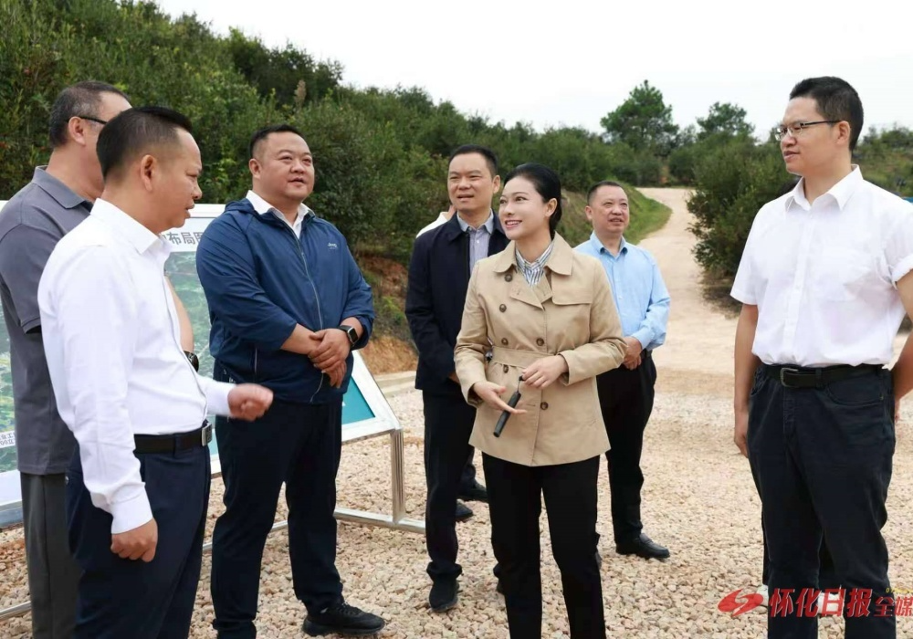 韦朝晖高靖生在中方县调研高产油茶基地建设情况