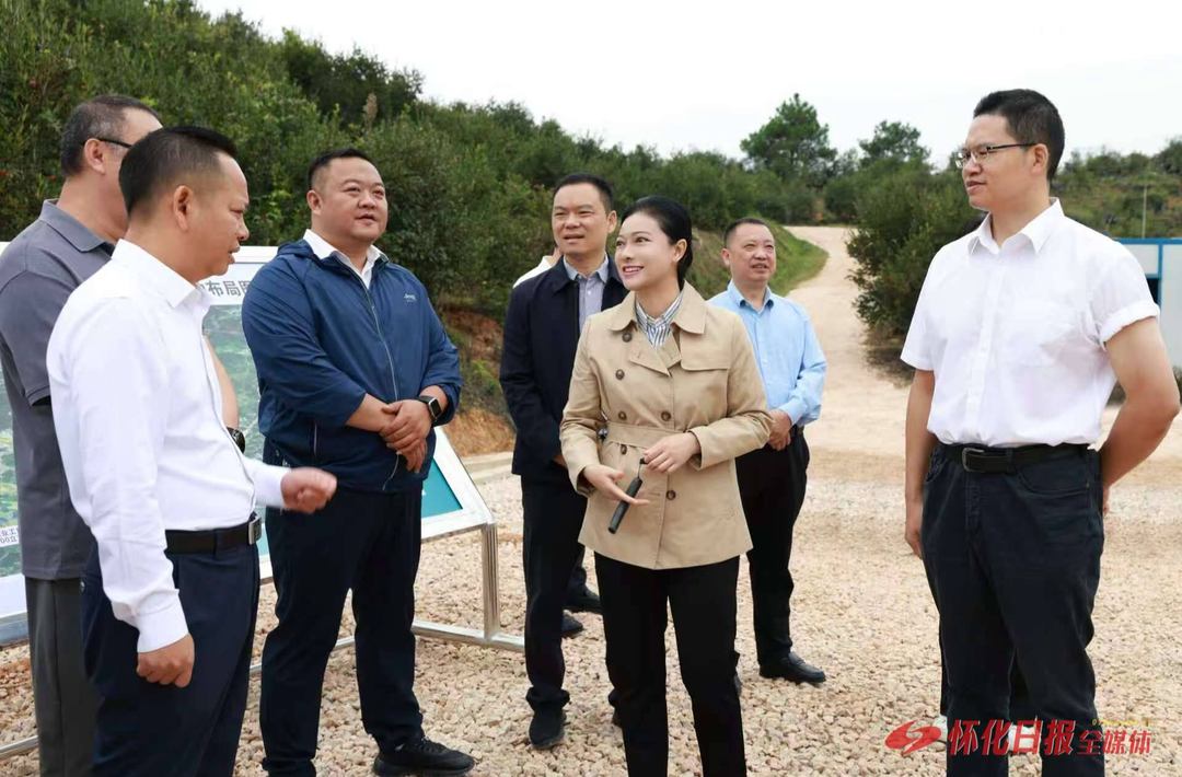 韦朝晖高靖生在中方县调研高产油茶基地建设情况