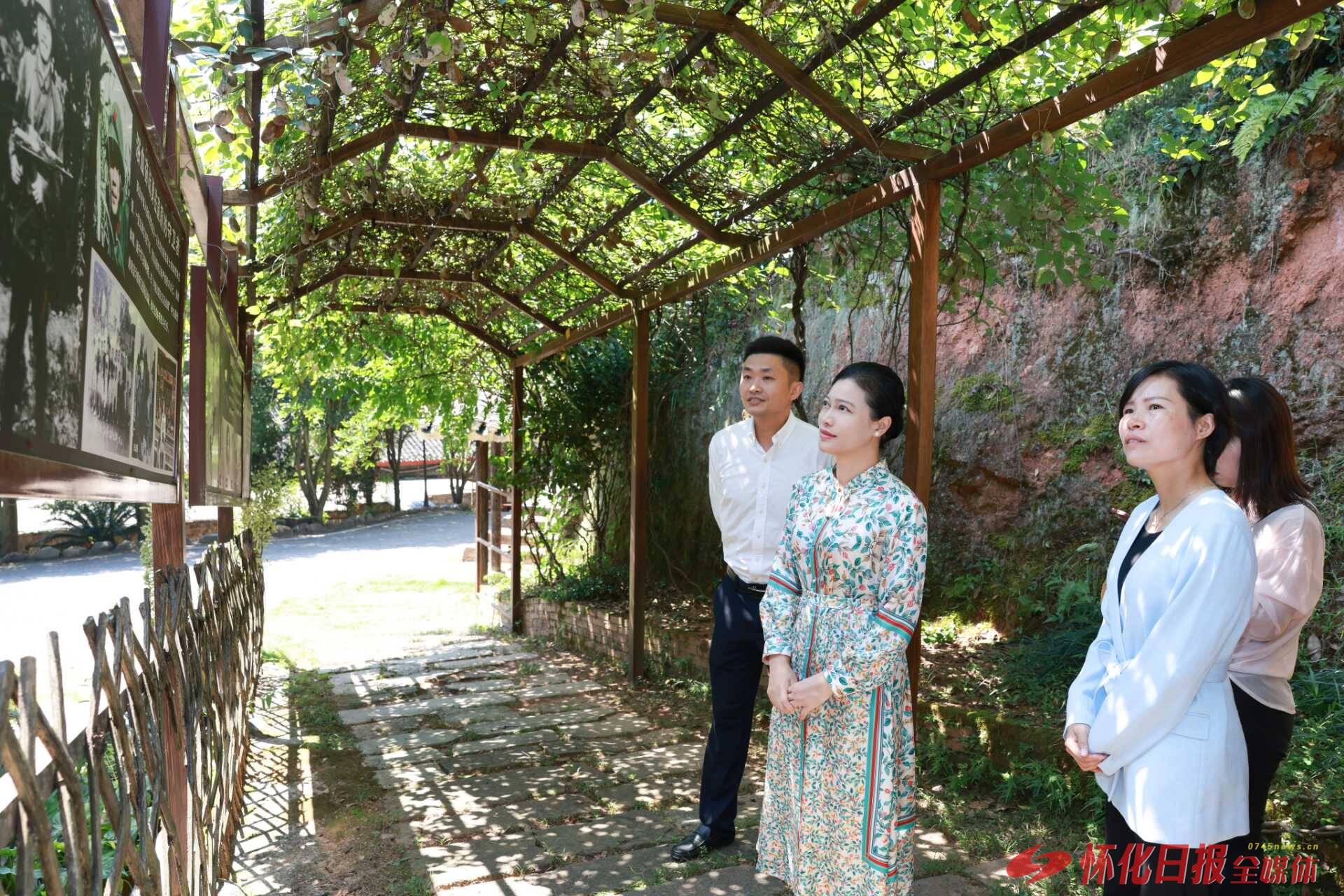 韦朝晖：因地制宜发展乡村特色产业 用心用情用力增进民生福祉