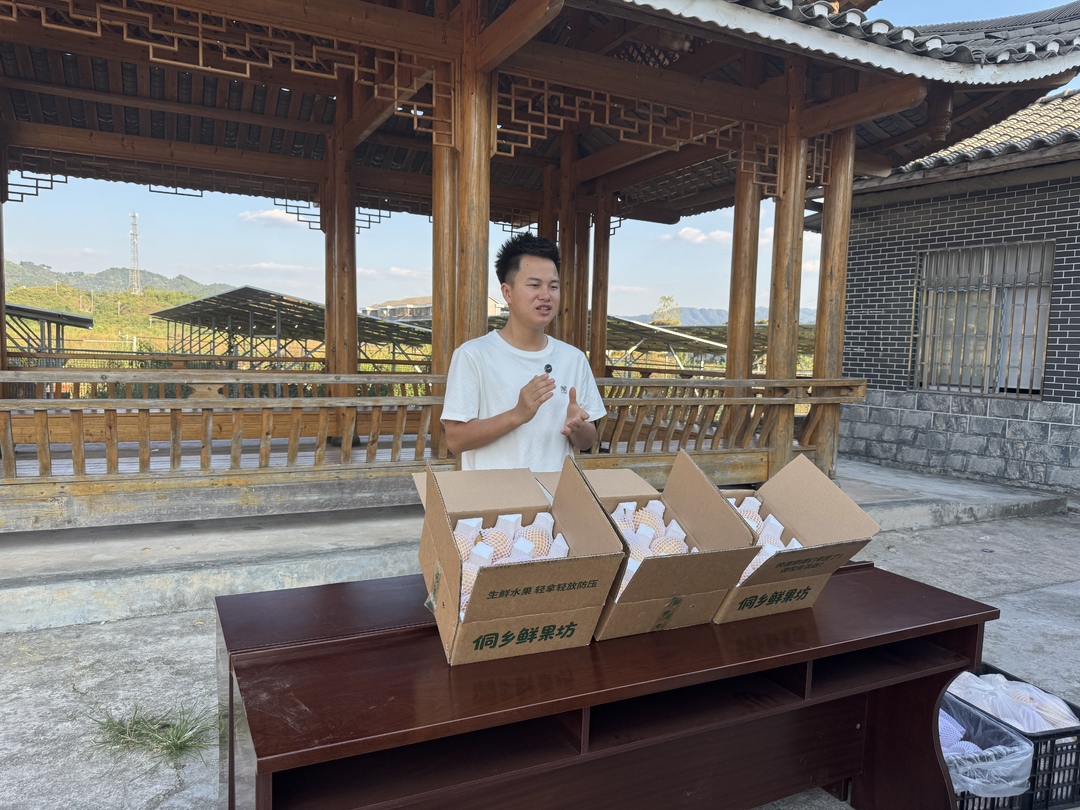 新店坪：网红直播助农出实效 千亩黄金梨借网出山
