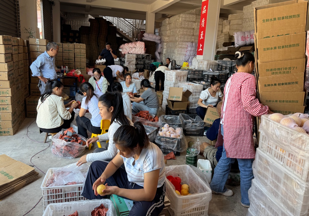 新店坪镇：梨满枝头销路广 多元赋能助振兴