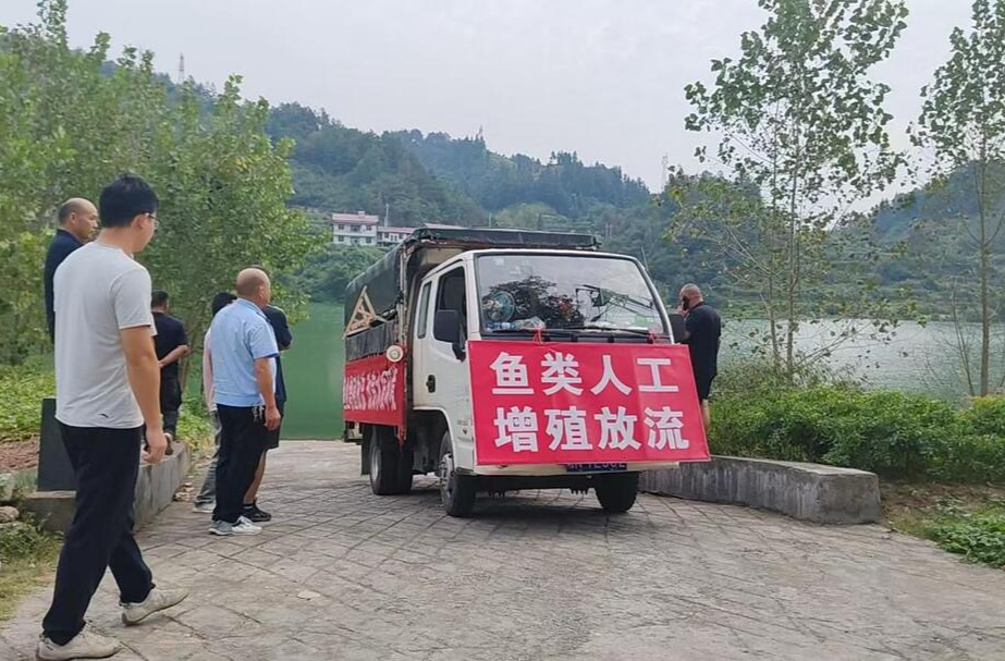 新店坪镇：连续十余载增殖放流 携手多方守护水生态