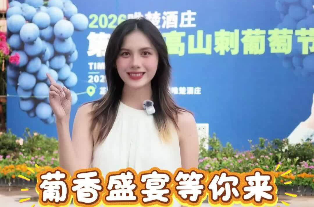 视频丨葡香满侗乡！9月16日，相约芷江唯楚酒庄第十届高山刺葡萄节！