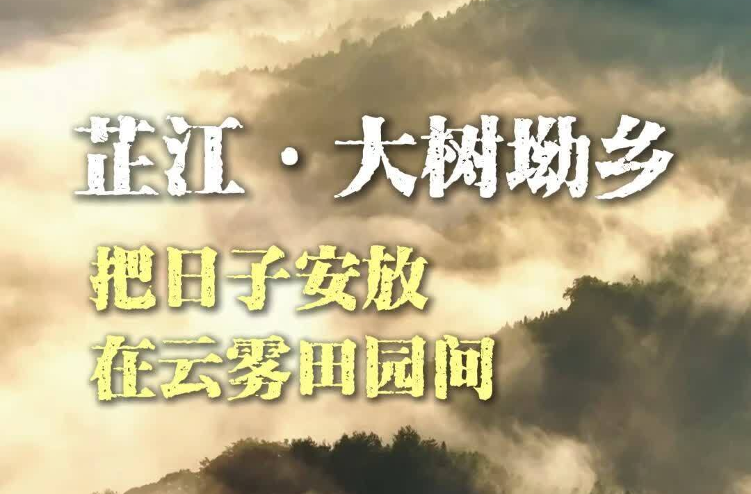 视频丨芷江大树坳乡新庄村，山有云海，居有美宿，园有葡萄，把日子安放在云雾田园间。