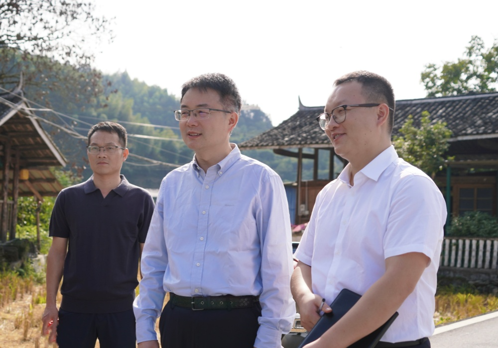 林涛在部分乡镇督导生态环境整治工作